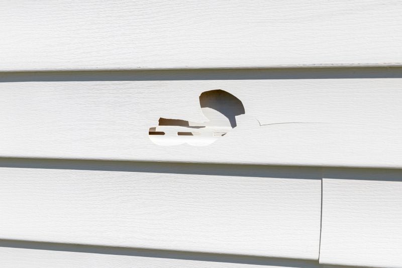 Seamless Vinyl Siding Fix